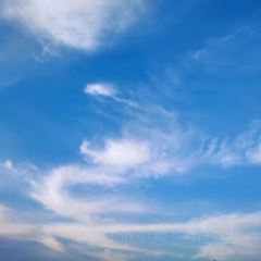 Jiahuabingwu (jinseguangchang) User Photo