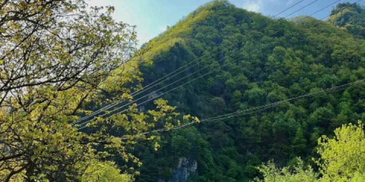 獅子溝牧場-露營地