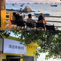 海边有棵树 여행 사진