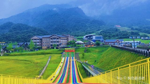 Grass Skiing in Dayi