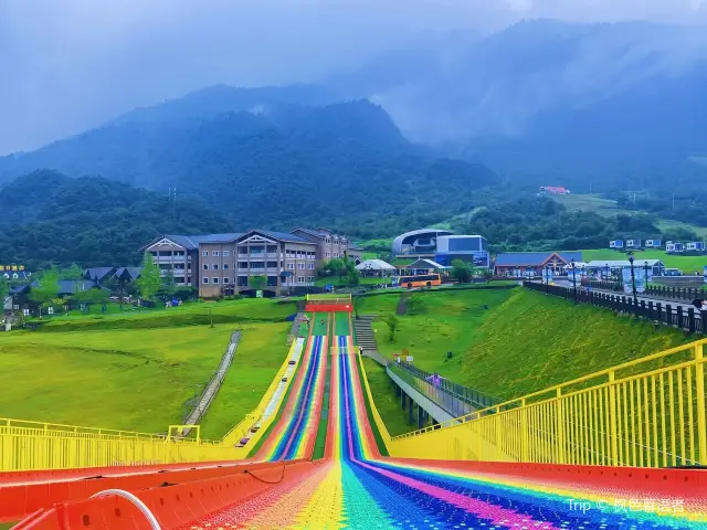 Grass Sledging in Dayi