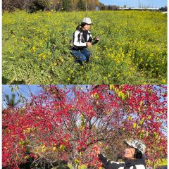 西那母生态庄园 User Photo