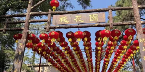 蓮花山旅遊區-桃花園