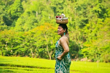 Valley Coffee By Lanna Resort