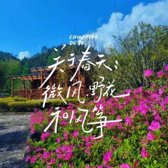 王景状元饼(英芳店) User Photo