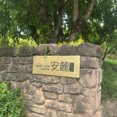 Ahnluh Guantang · All-Day Restaurant User Photo