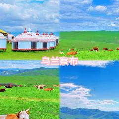 真定郝家排骨(大十字街店) User Photo