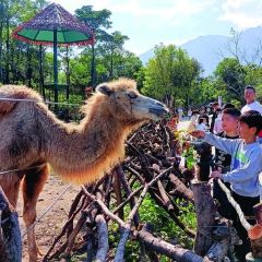 罗浮山天然谷(那里花开店) User Photo