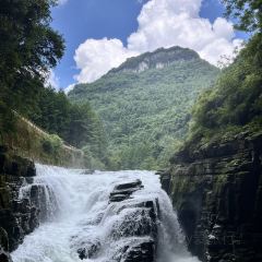 强哥烤活鱼(二店) 여행 사진