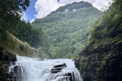 强哥烤活鱼(二店)
