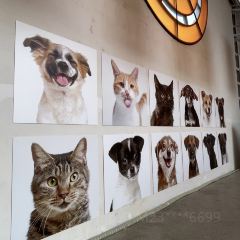 SOMEWHERE kitchen User Photo