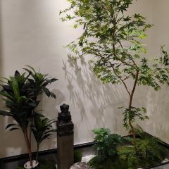 五畝地張用戶圖片