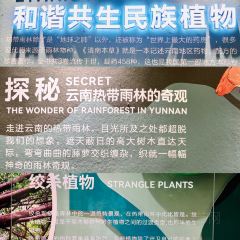 普洱小熊猫庄园·天碧餐厅 User Photo