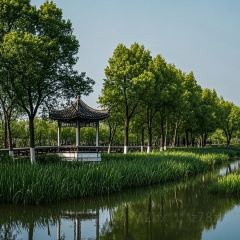 Haidailou Zhongshuge WHISKY BAR 여행 사진