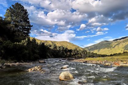 干老四雅鱼饭店(滨江西路店)
