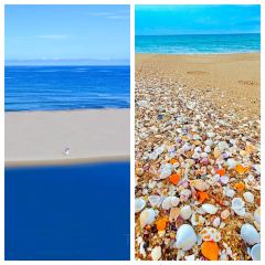 Nyonya Kebaya-A taste of Malaysia User Photo