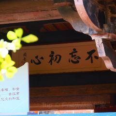 ZAYTON COURTYARD User Photo