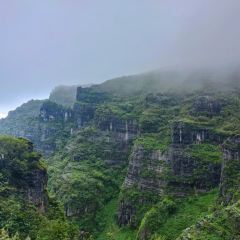 Zhan yi gong shi la zi Chicken (zhan yi) User Photo