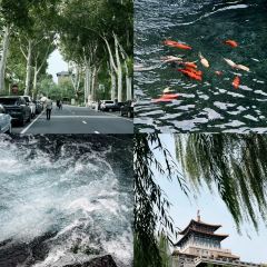 孙家糖油条 User Photo