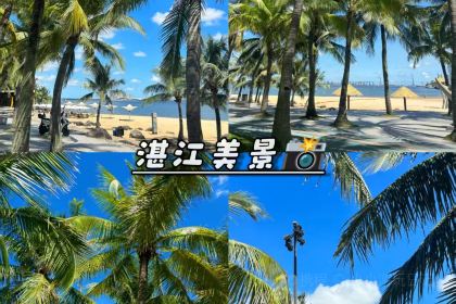 XI YING MEN BAO JIAN TIAN PIN DIAN