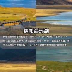 半途而沸 白塔·观景咖啡 User Photo