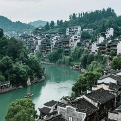 BEN LUO BO CAN YIN User Photo