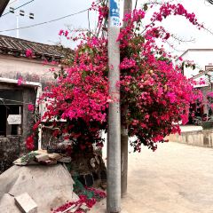 Hongmushan Restaurant User Photo