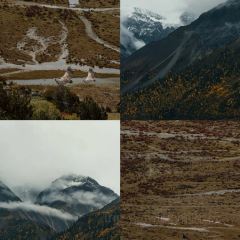 蓝湖驿站禅意酒店(然乌湖店)·餐厅 User Photo