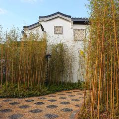 兴宁玖崇湖凤颐温泉酒店·凤凰轩中餐厅 여행 사진