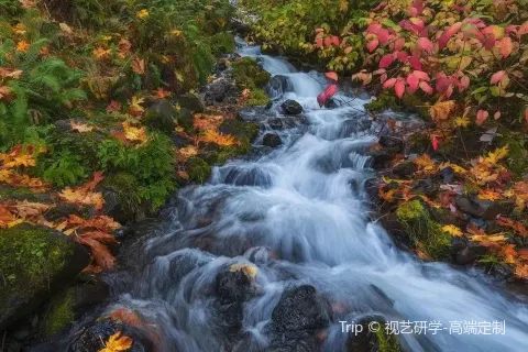 Zhuque National Forest Park