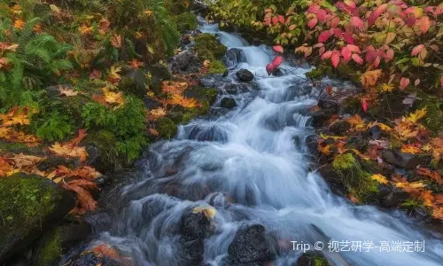 Zhuque National Forest Park
