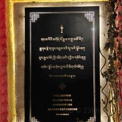 MENG TU ZHUANG YUAN ảnh của người dùng