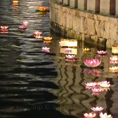 赤坎古镇圩地酒店·圩地德餐 User Photo