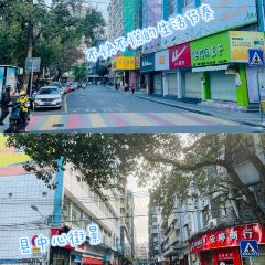 广远杏花鸡山庄 User Photo