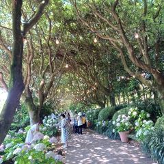 Manor Blanc User Photo