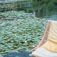 白麓半岛·泰餐厅(麓湖美食岛店) User Photo