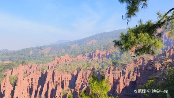 Jingdong Earth Forest