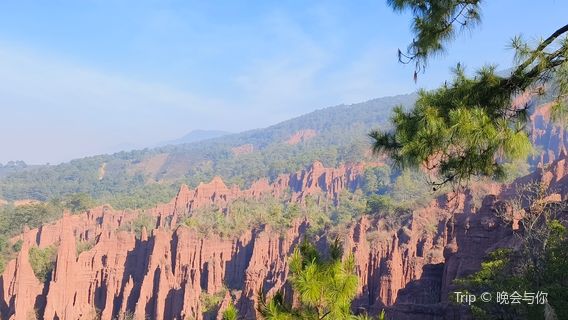 Jingdong Earth Forest