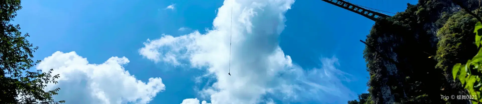 액티비티