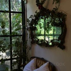 The Ironwood User Photo