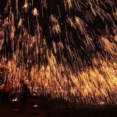 炎黃茶館張用戶圖片