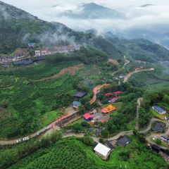 南坑咖啡观赏园 User Photo