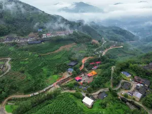 南坑咖啡觀賞園