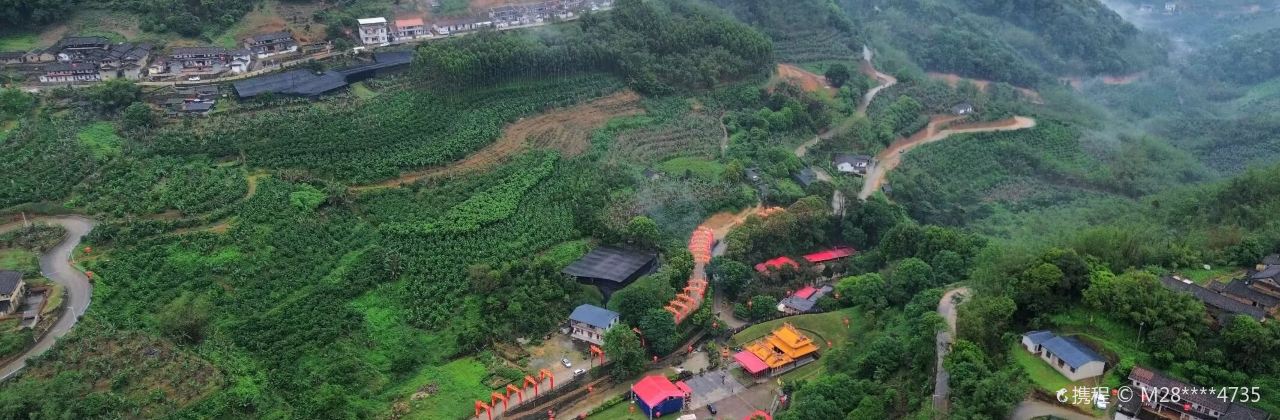 南坑咖啡觀賞園