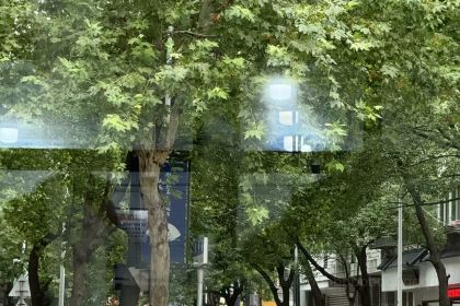 Dingdingxianchuantong Huntun·shaomai