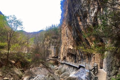 陇原·西域烤肉(东江店)