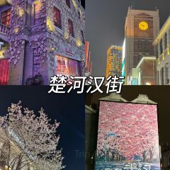 QINGHE User Photo