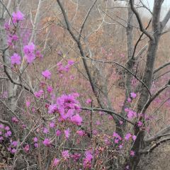 六国饭店 User Photo