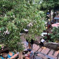 XISHAN YUNJING User Photo
