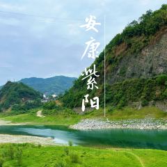 七秒鱼 User Photo